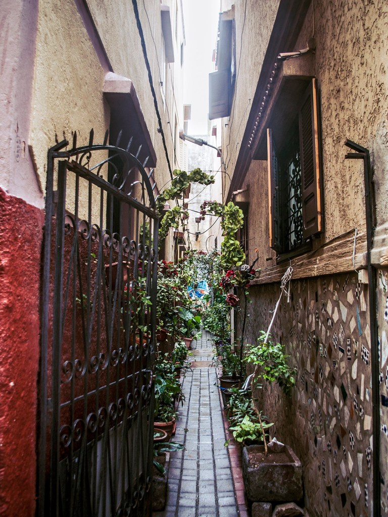 A gated alleyway filled with plants in Salé, Morocco.