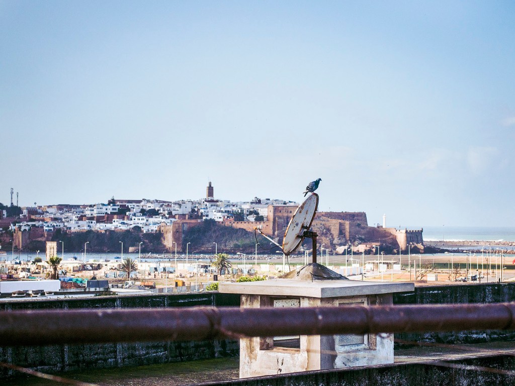 The Rabat skyline seen from a riad rooftop in Salé, Morocco.