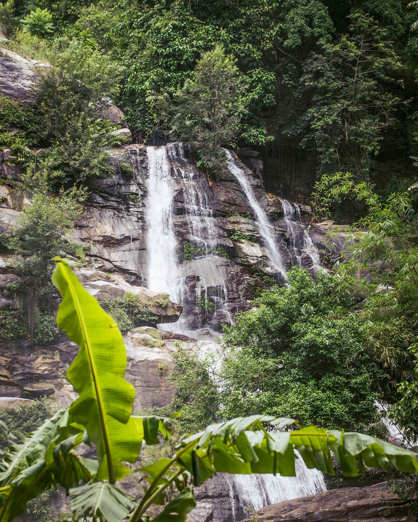 Trees surrounding the Wachirathan Falls in Chiang Mai, Thailand.