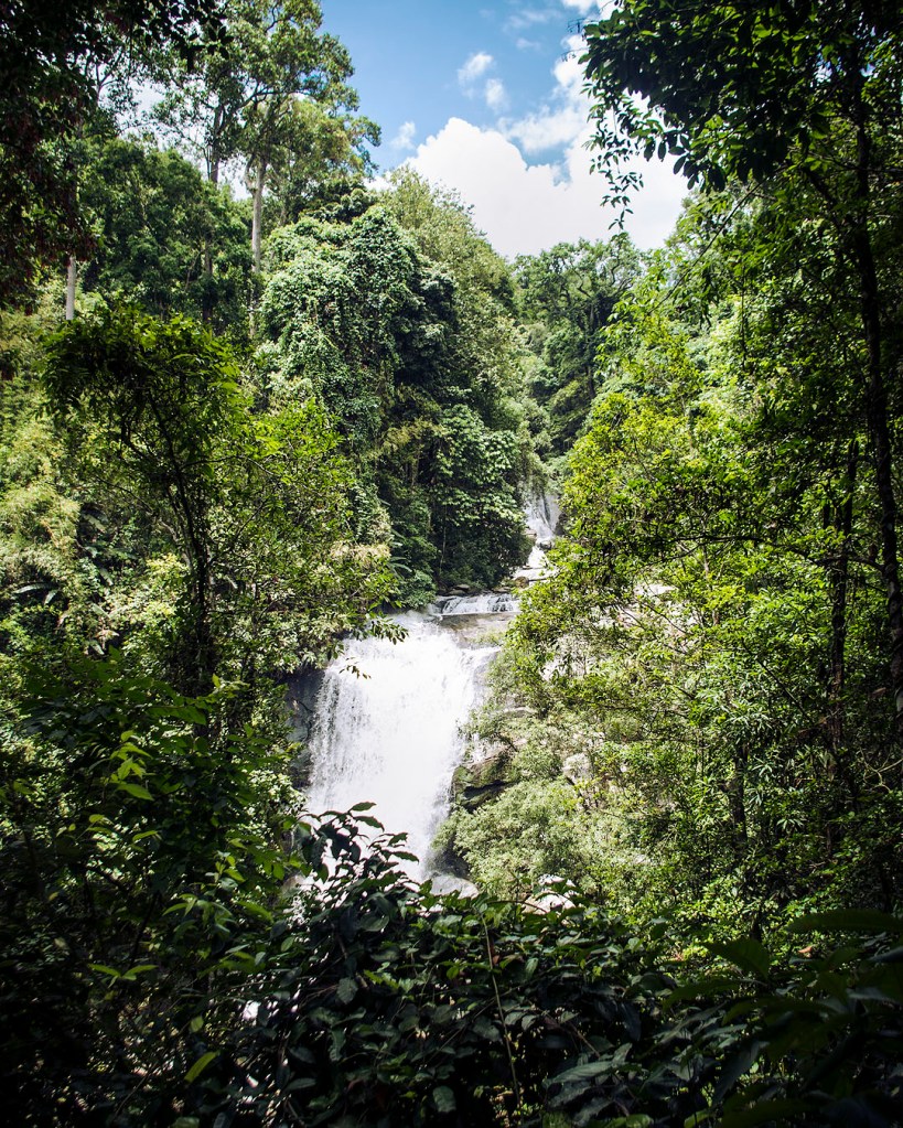 The Sirithan Waterfall surrounded by trees in Doi Inthanon National Park.