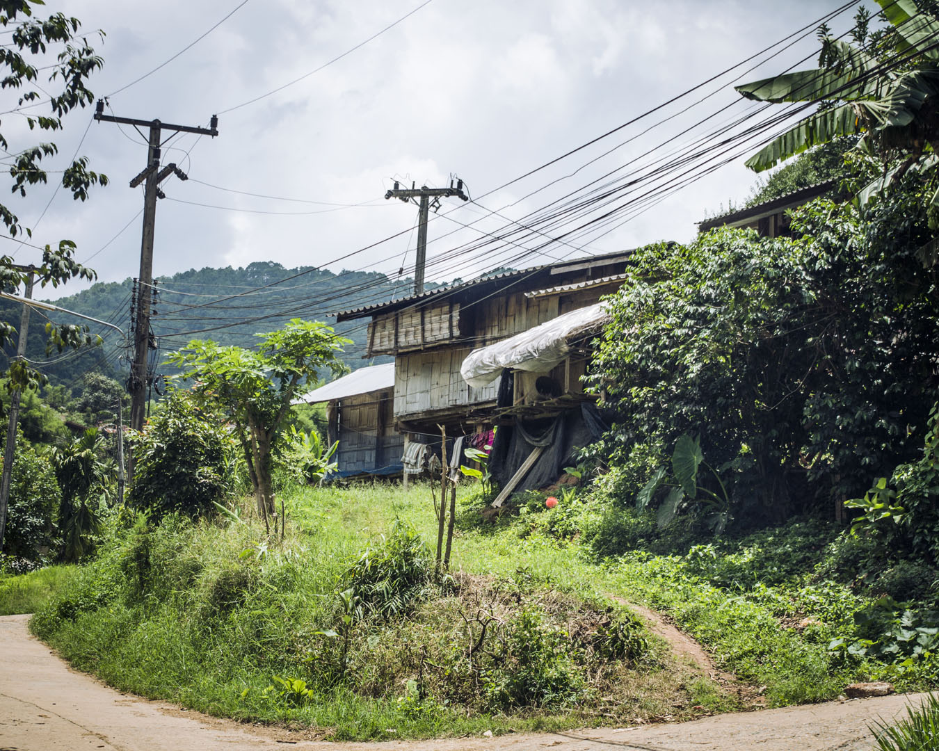 A house in Sobhad Village in Doi Inthanon National Park, Thailand.