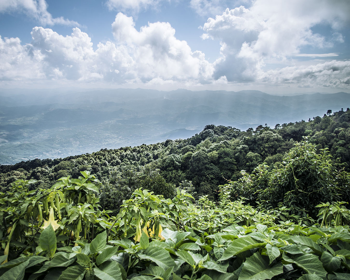 The view of mountains and treetops from the Twin Pagodas in Doi Inthanon National Park, Thailand.
