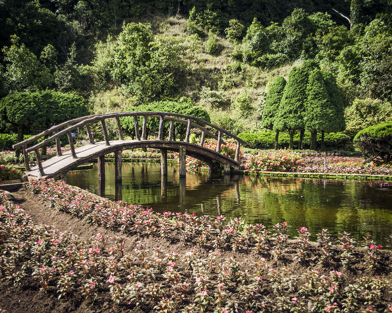 The bridge over the pond in the gardens of the Twin Pagodas in in Doi Inthanon National Park, Thailand.