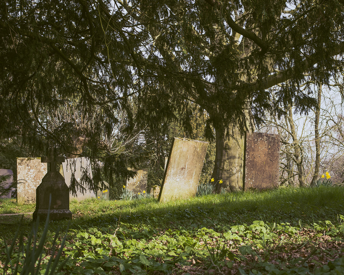 Headstones under trees at Annesley Old Church.