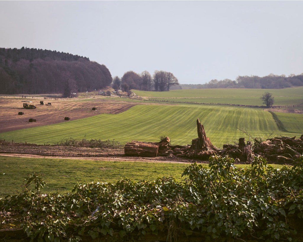 Views of fields from Annesley Old Church.