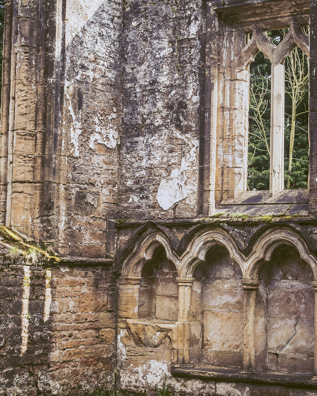 Piscinae and a window in an ancient wall at Annesley Old Church.