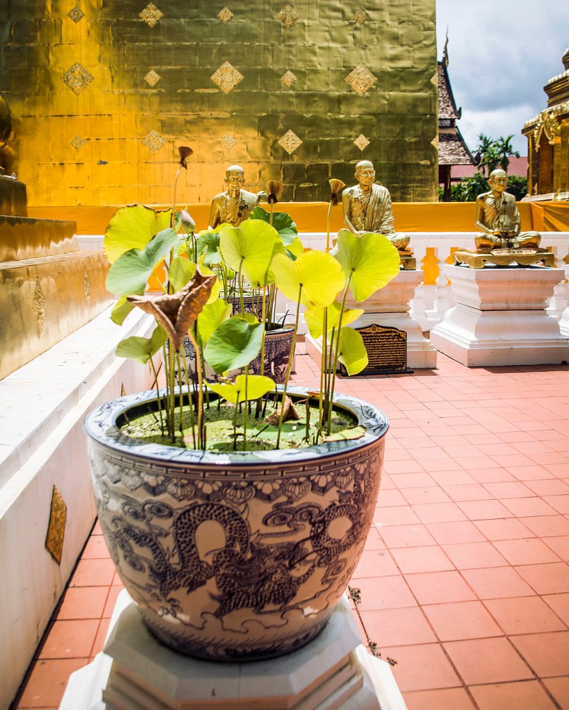 A plant pot in front of the main chedi at Wat Phra Singh.