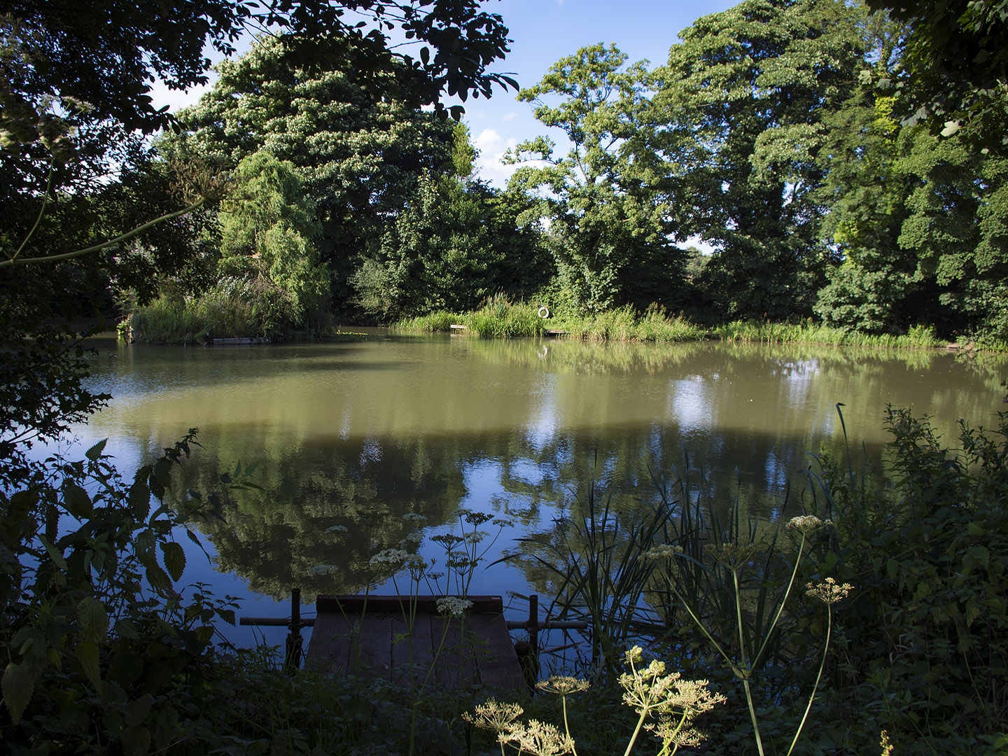 Joe’s Wood and Pond, Nottinghamshire, England