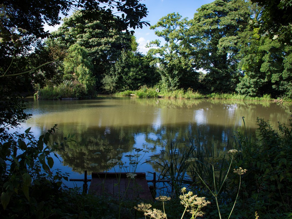 Joe’s Wood and Pond, Nottinghamshire, England