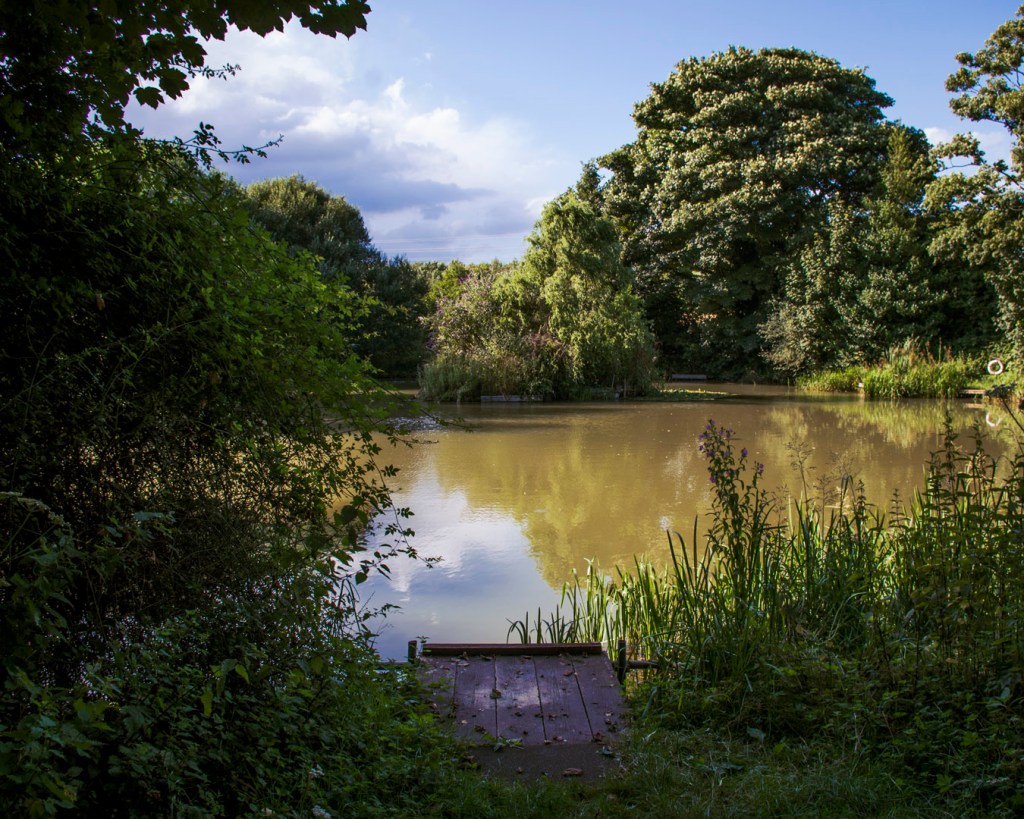 The blue sky and trees reflected in Joe's Pond off Hucknall Road in Nottingham.