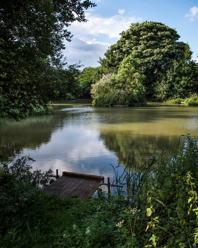 The blue sky and trees reflected in Joe's Pond off Hucknall Road in Nottingham.