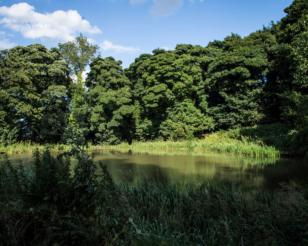 The blue sky and trees reflected in Joe's Pond off Hucknall Road in Nottingham.