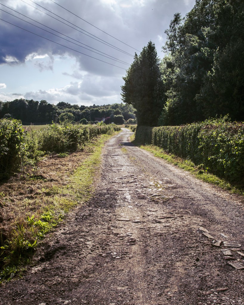 A tree-lined dirt road near Joe's Wood in Nottingham.