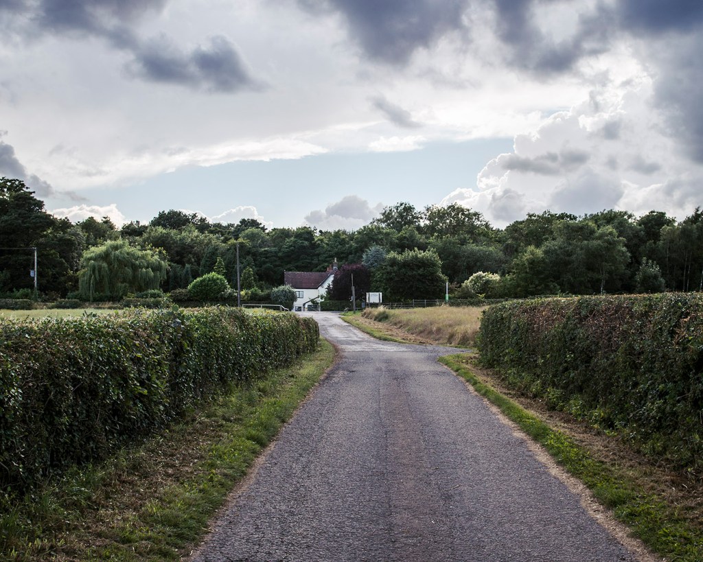 A hedge-lined road with a white house in the distance near Joe's Wood.