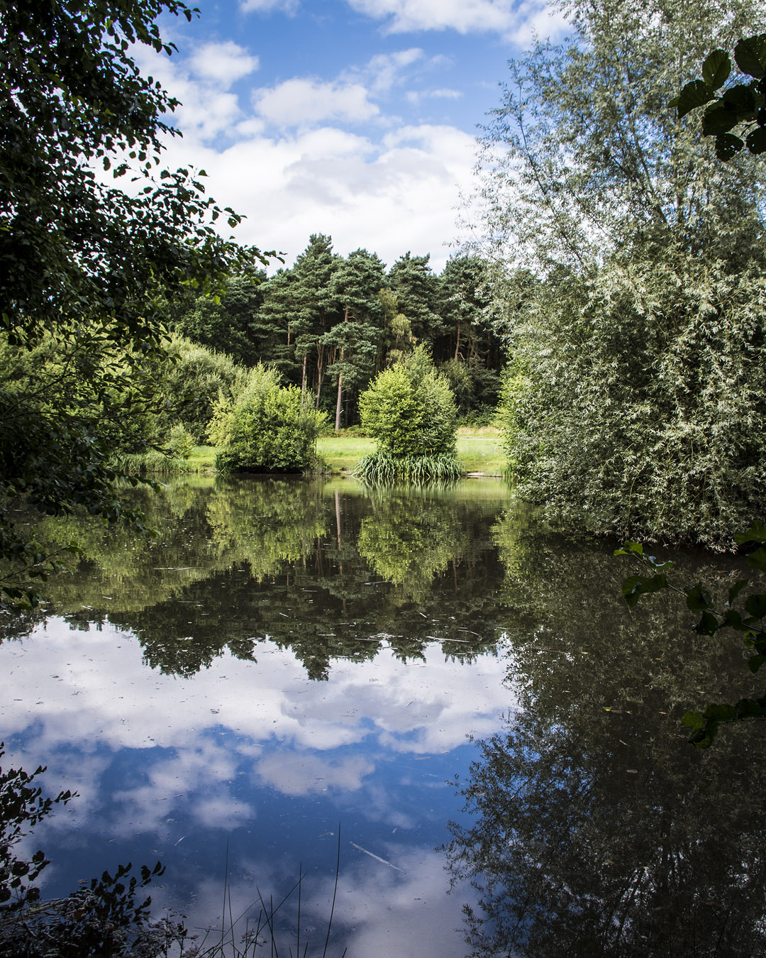 Trees and blue sky reflected in a fishing pond near Newstead and Annesley Country Park.