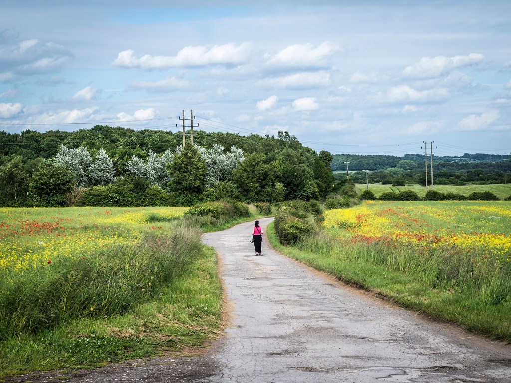 A blue sky over a woman walking down a road between fields of poppies and rapeseed.