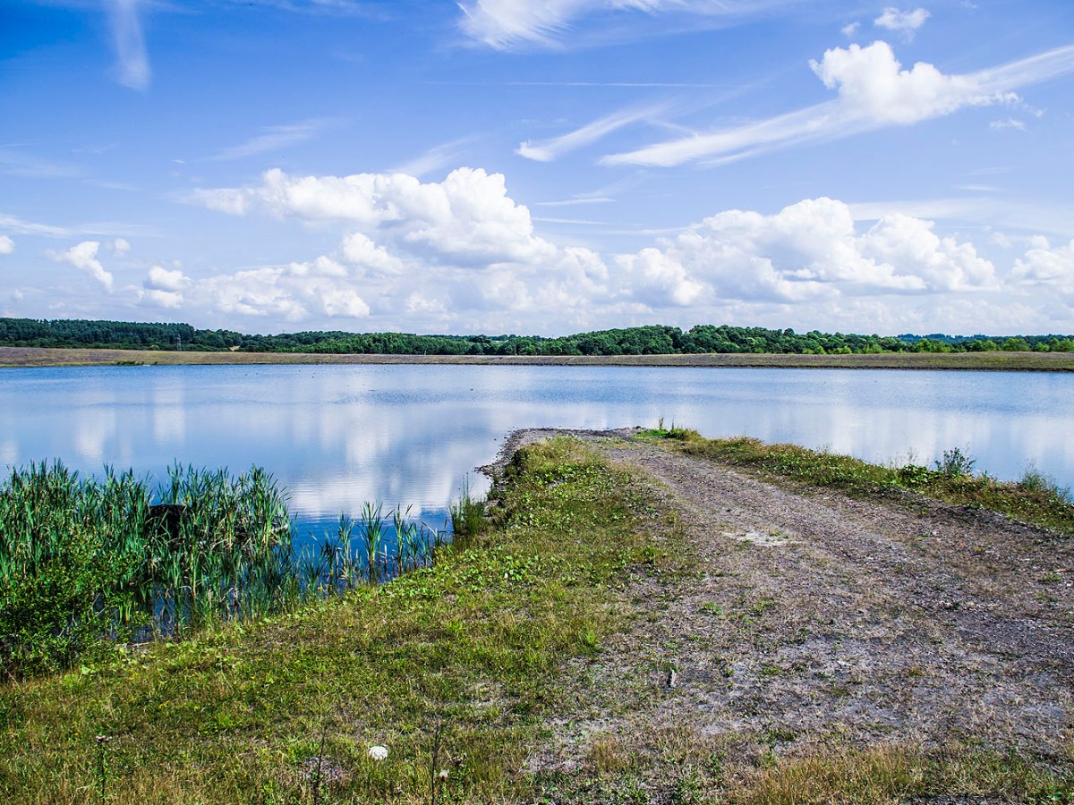 Newstead and Annesley Country Park, Nottingham,&nbsp;England