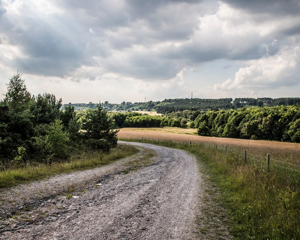 A dirt track through fields and trees. There are woods and pylons in the distance.