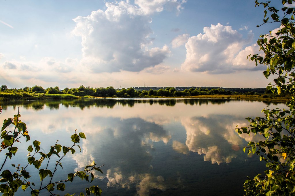 Clouds and a blue sky reflected in a lagoon at Newstead and Annesley Country Park.