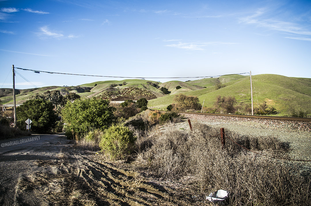 A road and telegraph poles in front of green hills at Christie Road.