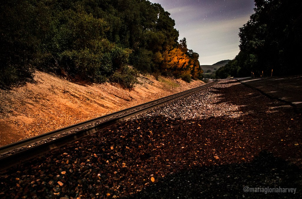 The train tracks at Christie Road between wooded hills at night.